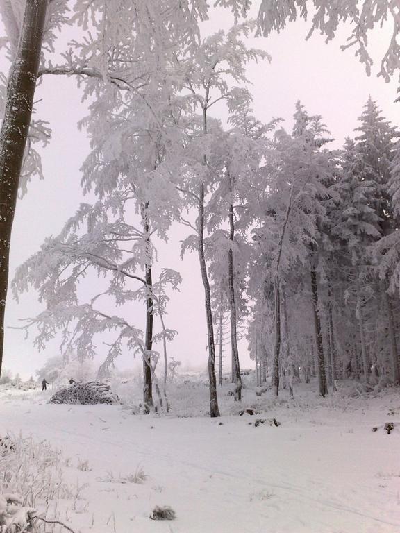 Heidehotel Hildfeld Winterberg Eksteriør billede